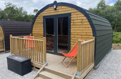 Abercwmboi Casa | Disney Pod 7 Pet Free