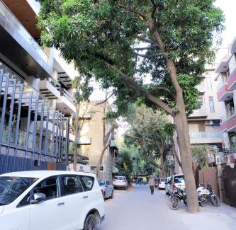 Saket Apartamento | Divine India Service Apartment 1bhk, D-198,UGF
