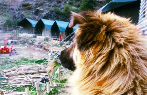 Tosh Alquiler De RV | Momentos divinos de Tosh camping y trekking