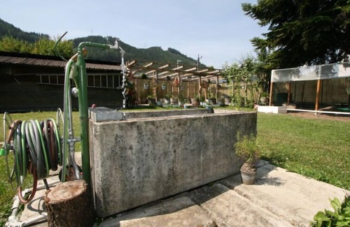 Wilten Apartamento | Diwani home stay Innsbruck by Interhome