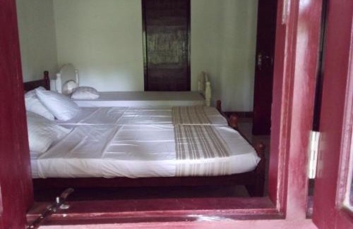 Pinnawala Casa | Diyagal Villa