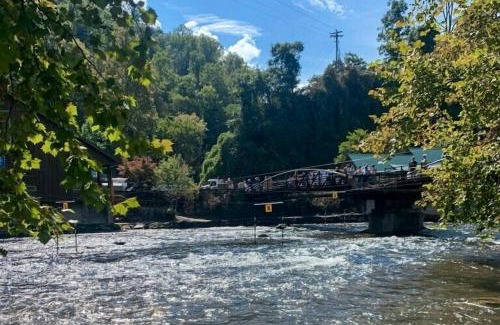 Bryson City Casa | DJ Bear Den