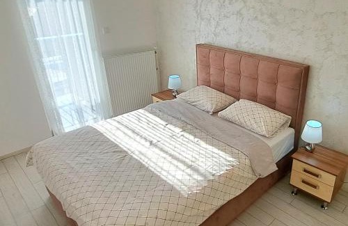 Banja Koviljaca Apartamento | Djuka