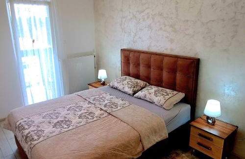 Banja Koviljaca Apartamento | Djuka