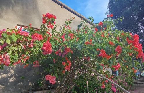 San Bernardo del Viento Casa | DLuchy Casa Finca Rural cerca al mar