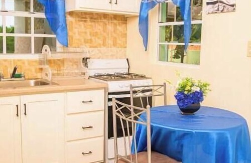 Saint Peter Parish Apartamento | Doc's Paradise Blue Apartment