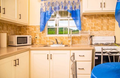 Saint Peter Parish Apartamento | Doc's Paradise Blue Apartment