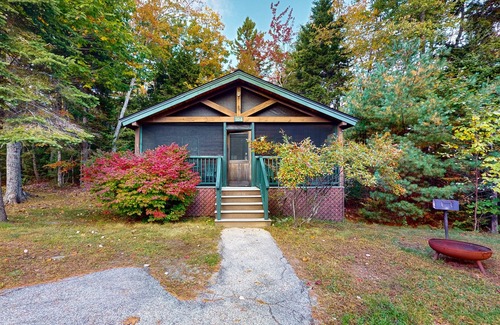 Northport Cabina | Dog-friendly cabin with wooded views, fireplace, AC near outdoor recreation