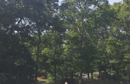 Cotuit Apartamento | Dog friendly, Clean Studio with Separate Entrance 2.4 miles to Beach