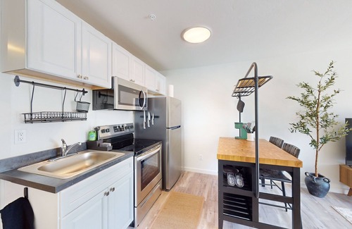 Evergreen Apartamento | Dog Friendly condo with kitchen, patio & W/D - great location