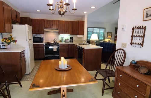 Fort Ann Cabaña | Dog friendly lakefront home w/fireplace near Lk George. Telecommuters welcome!