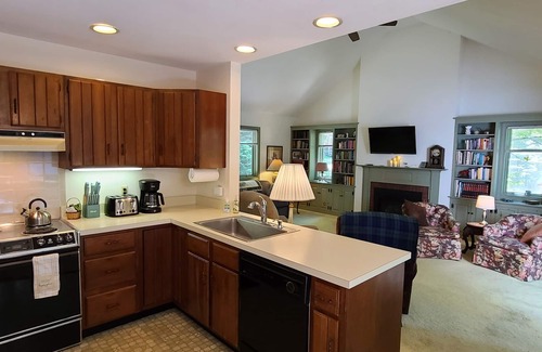 Fort Ann Cabaña | Dog friendly lakefront home w/fireplace near Lk George. Telecommuters welcome!