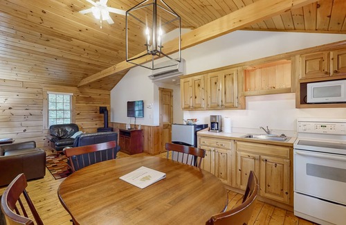 Northport Cabina | Dog-friendly nature lovers retreat with fireplace, WiFi, AC & playground
