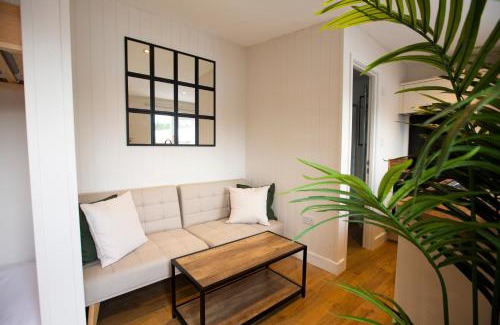 Ford Casa | Dog House 1