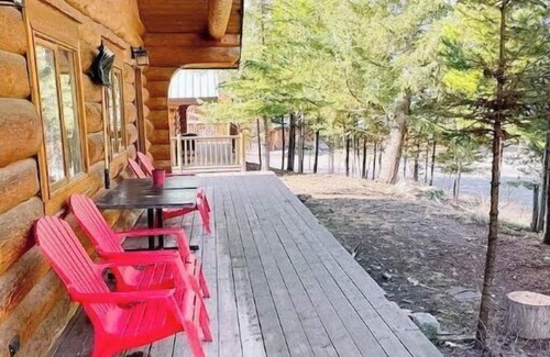 Lac Le Jeune Cabina | Dogs love our cabin in Lac Le Jeune close to lake