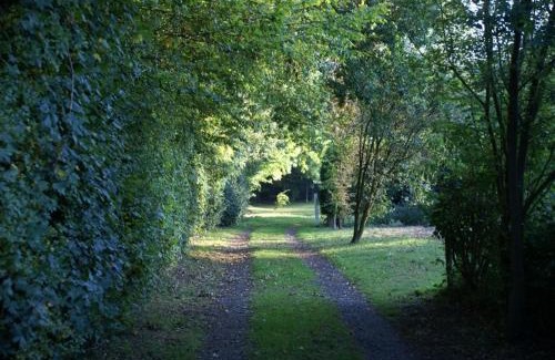 Ewhurst Green Otro | Dogwood Yurt