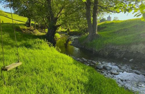 Llanilar Cabina | Dôl Swynol Glamping Luxury cabin with outdoor bath