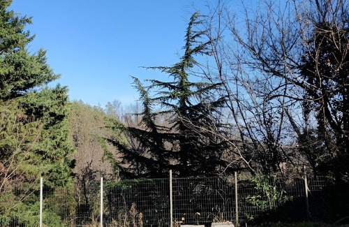 San Sebastiano da Po Casa | Dolce Verde Casa - traditional and completely renovated Piemontese house