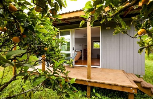 Kerikeri Cabaña | DoLittle Cottage en huerto de cítricos orgánicos, animales de granja, piscina, felicidad total