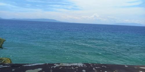 Abra de Ilog Hotel | Dolphin Bay Resort Puerto Galera