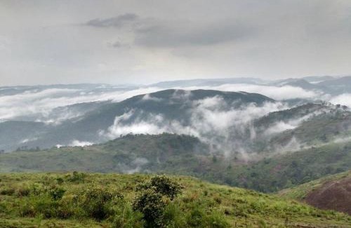 Thekkady Hotel | Dolphin Residency