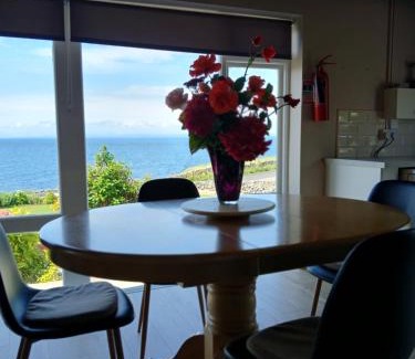 Fanore Casa | Dolphin Watch