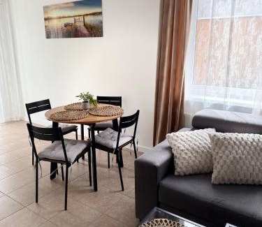 Wiselka Apartamento | Dom Gościnny Ania, Apartament nr 3