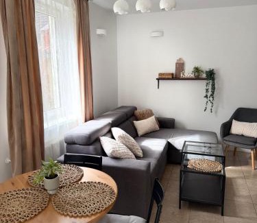 Wiselka Apartamento | Dom Gościnny Ania, Apartament nr 3