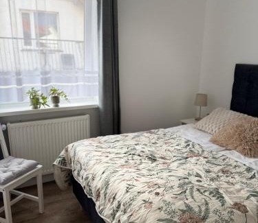 Wiselka Apartamento | Dom Gościnny Ania, Apartament nr 6