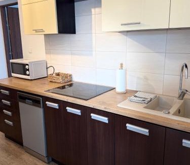 Wiselka Apartamento | Dom Gościnny Ania, Apartament nr 6