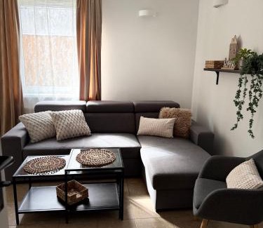 Wiselka Apartamento | Dom Gościnny Ania, Apartament nr 6