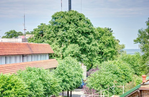 Karlikowo Apartamento | Dom & House - Apartments Sunrise