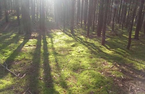 gmina Stoczek Łukowski Casa | Dom na Skraju Lasu