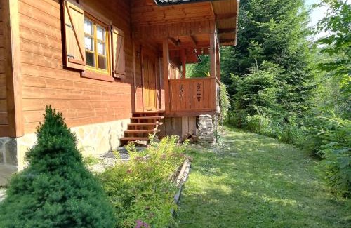 Ochotnica Dolna Chalet De Esquí | Dom pod Jesionami