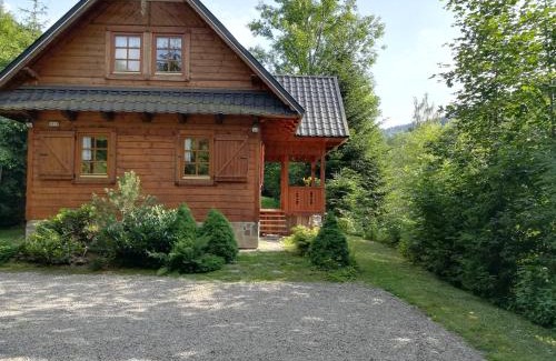 Ochotnica Dolna Chalet De Esquí | Dom pod Jesionami