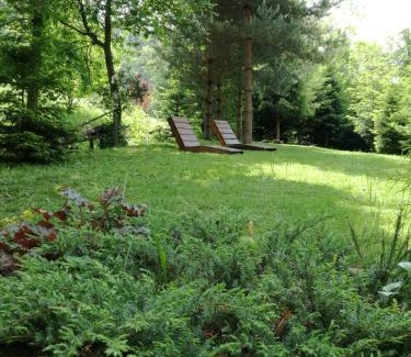 Ochotnica Dolna Chalet De Esquí | Dom pod Jesionami