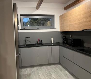 Kuznia Raciborska Apartamento | Dom Villa Forest z dwupoziomowym 120 m apartamentem