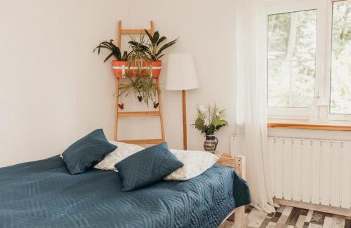 Janowice Wielkie Casa | Dom w Dolinie