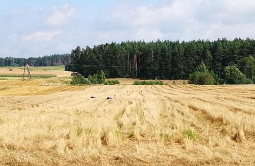 gmina Karsin Casa | Dom wakacyjny Poniatówka