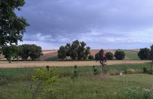 Niedrzwica Duza Casa | Dom wsród pól Radawczyk