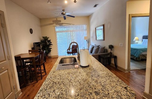 Texas Medical Center Apartamento | Domain at Kirby