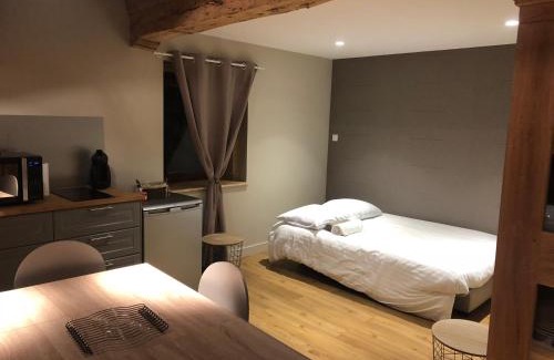Saint-Etienne-des-Oullieres Apartamento | Domaine des Dutreve