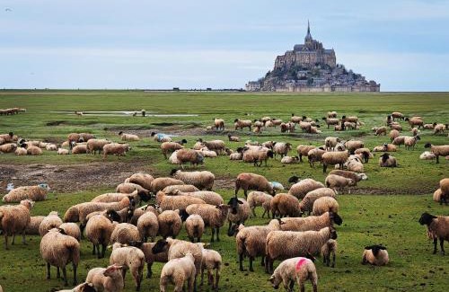 Saint-Quentin-sur-le-Homme Apartamento | Domaine de L'isle Maniere