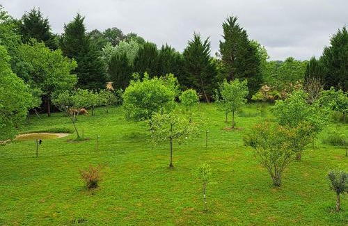Pouillon Casa | Domaine Baraque