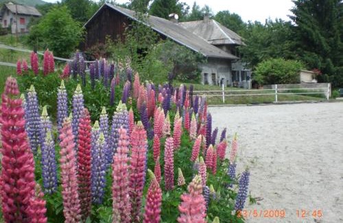 Saint-Leger Casa | Domaine de la Safranière Alpes Françaises