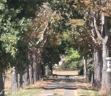 Castelsarrasin Casa | Domaine De Mathabiau