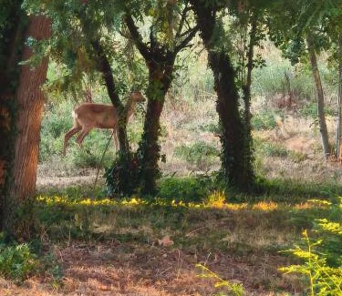 Castelsarrasin Casa | Domaine De Mathabiau