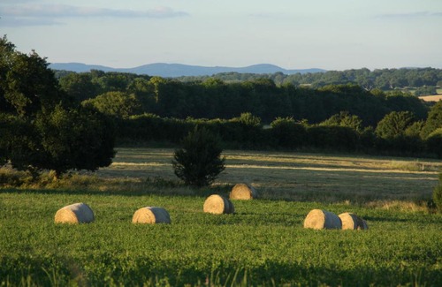 Saint-Saulge Cama Y Desayuno | Domaine de Savigny