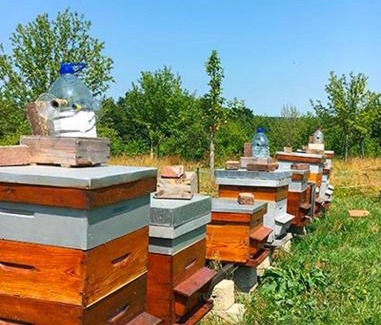 Lessard-et-le-Chene Cama Y Desayuno | Domaine des Essarts