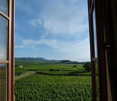 Bennwihr Apartamento | Domaine du Bouxhof